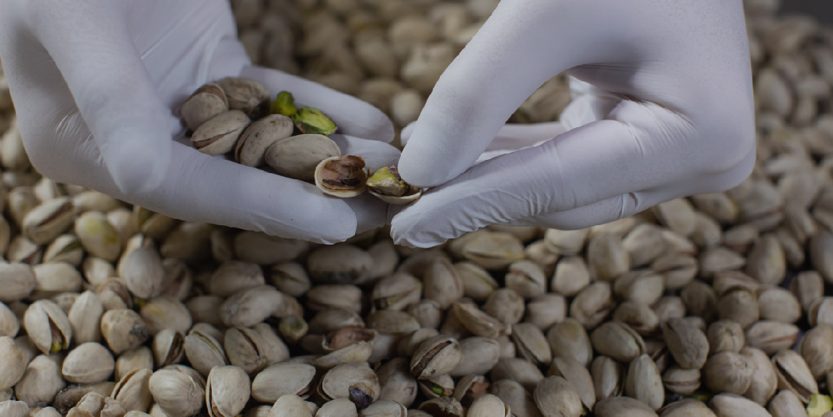 The benefits of storing pistachios in bulk under Modified Atmosphere